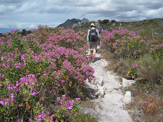 Table Mountain hiking – Hoerikwaggo Trail